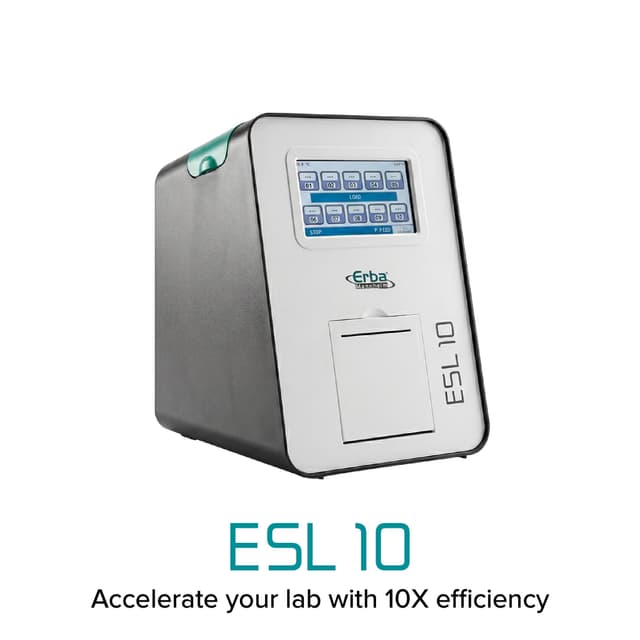 ESL 10
