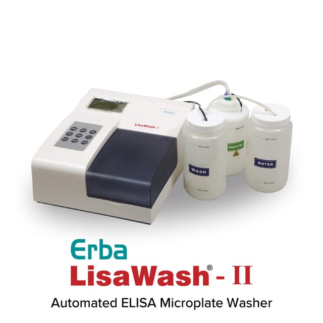LisaWash-II